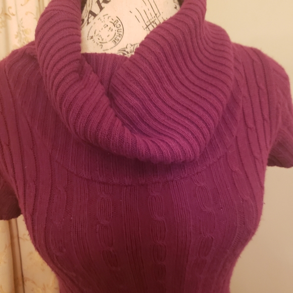 Cowl Neck Short Sleeve Sweater - Picture 2 of 4
